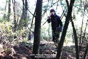 016- Shishan 